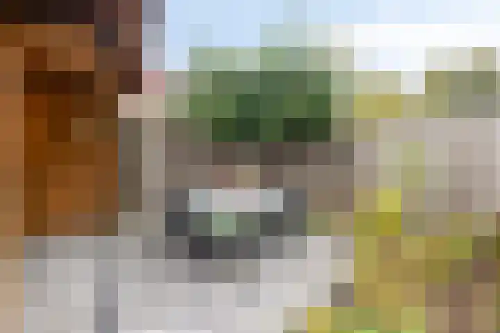 Werminkserve 17 Hellendoorn thumbnail 23