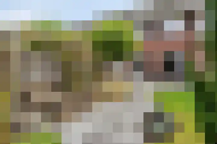 Werminkserve 17 Hellendoorn thumbnail 25