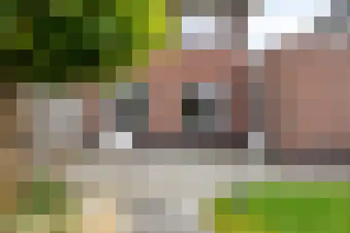 Werminkserve 17 Hellendoorn thumbnail 26