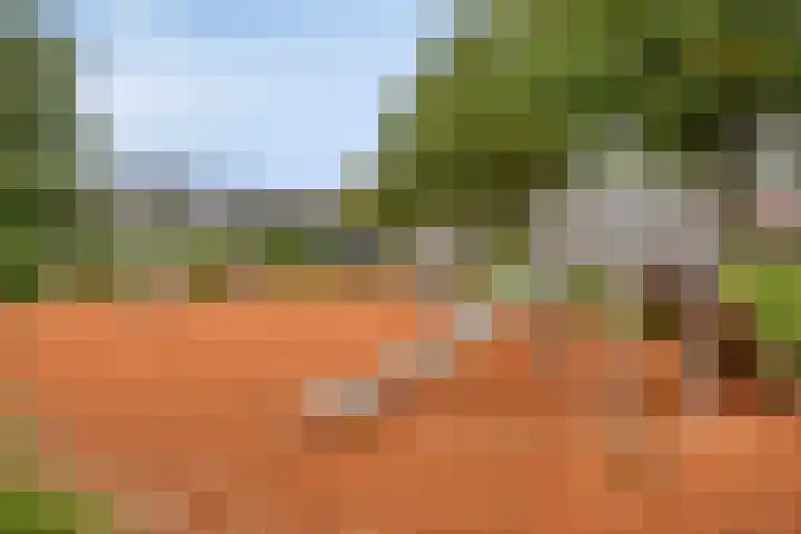 Werminkserve 17 Hellendoorn thumbnail 30