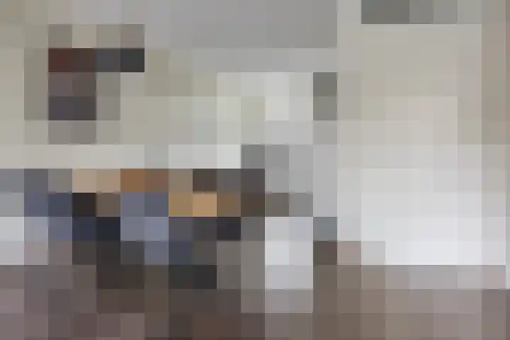 Werminkserve 17 Hellendoorn thumbnail 5