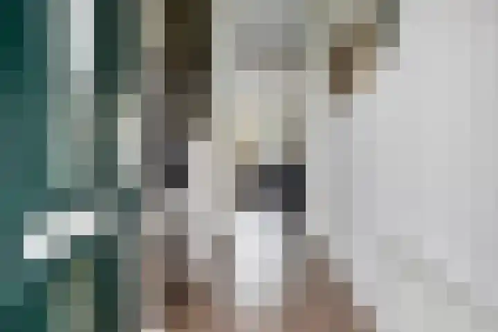 Werminkserve 17 Hellendoorn thumbnail 8