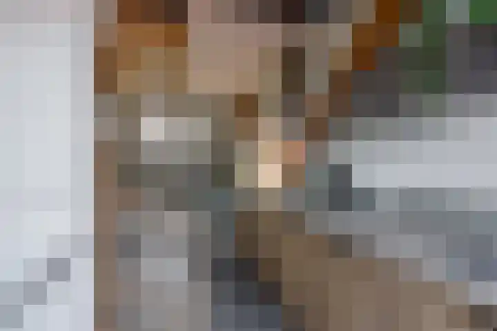 Werner Helmichstraat 1 M Utrecht thumbnail 10