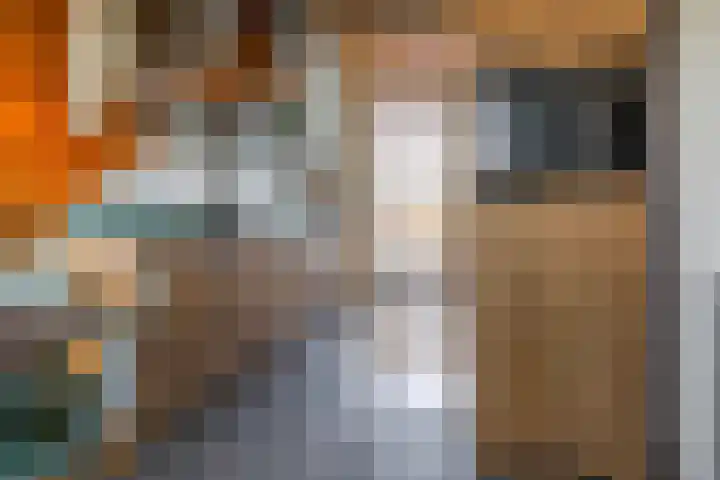 Werner Helmichstraat 1 M Utrecht thumbnail 14