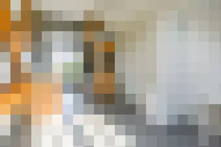 Werner Helmichstraat 1 M Utrecht thumbnail 18