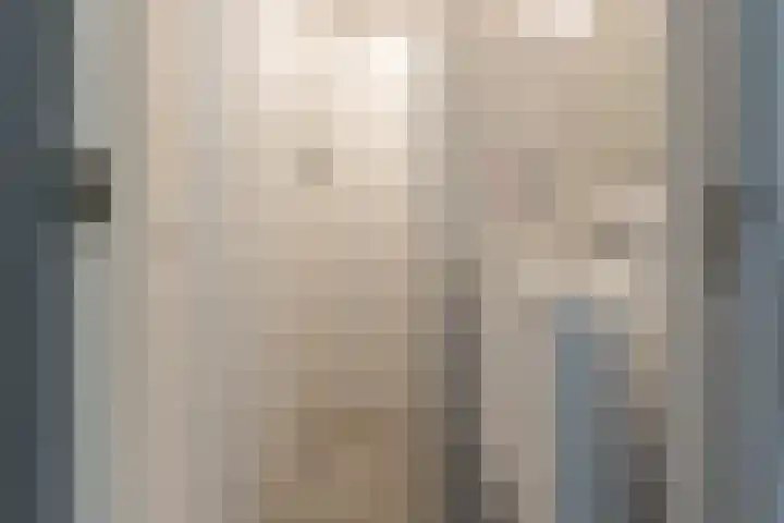 Werner Helmichstraat 1 M Utrecht thumbnail 18