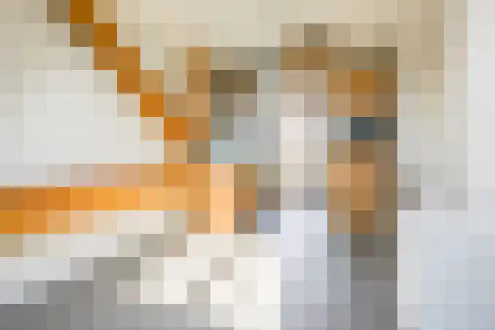 Werner Helmichstraat 1 M Utrecht thumbnail 19