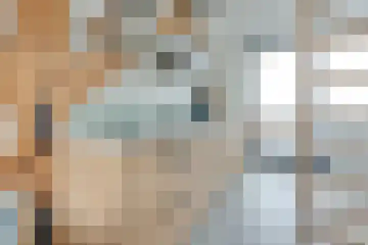 Werner Helmichstraat 1 M Utrecht thumbnail 20