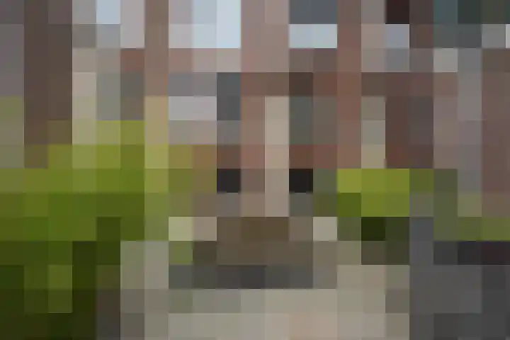 Werner Helmichstraat 1 M Utrecht thumbnail 22