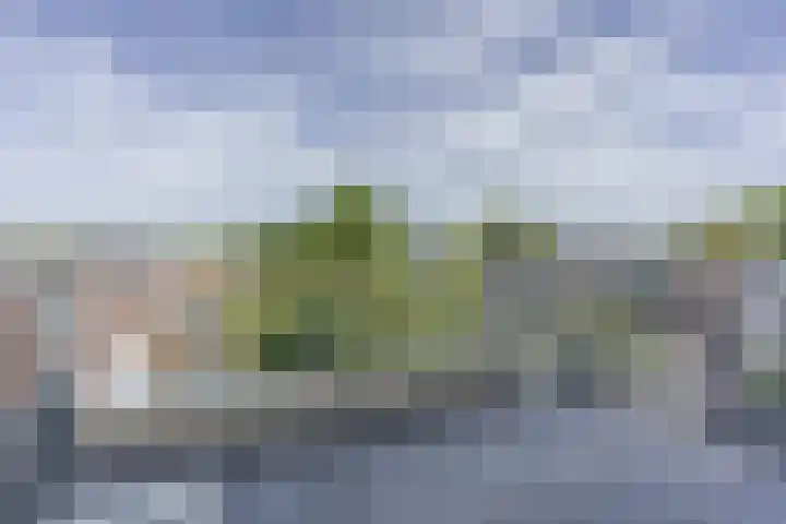 Werner Helmichstraat 1 M Utrecht thumbnail 24
