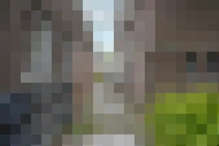 Werner Helmichstraat 1 M Utrecht thumbnail 29