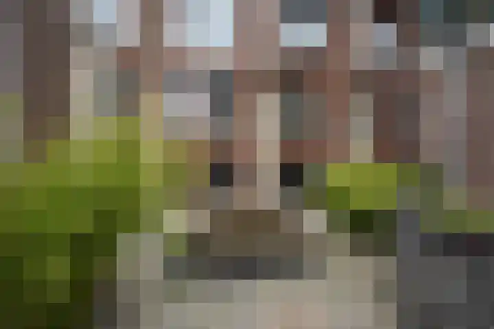 Werner Helmichstraat 1 M Utrecht thumbnail 30