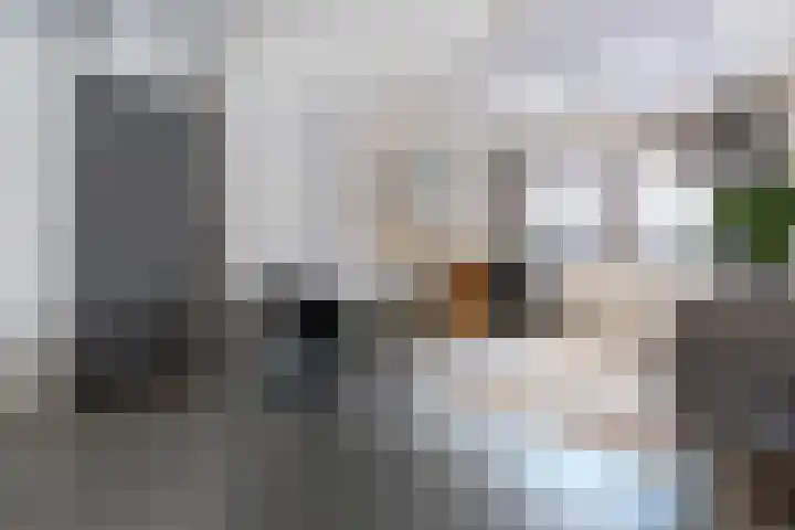 Werner Helmichstraat 1 S Utrecht thumbnail 8