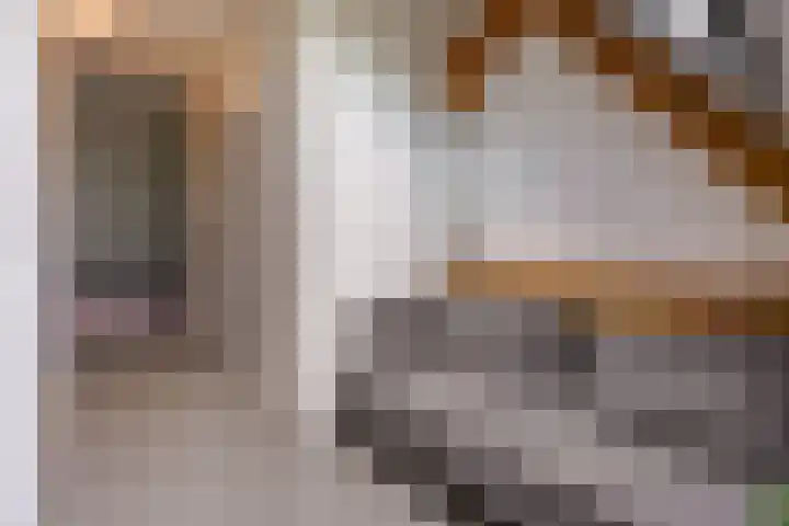 Werner Helmichstraat 1 T Utrecht thumbnail 11