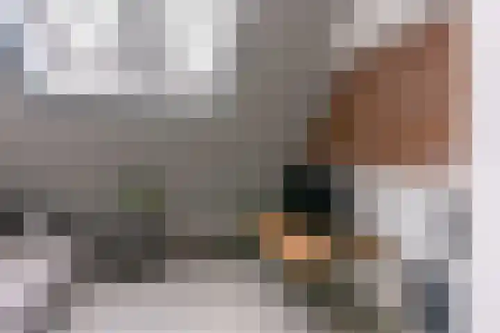 Werner Helmichstraat 1 T Utrecht thumbnail 9