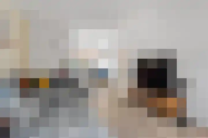 Werner Helmichstraat 105 Utrecht thumbnail 13