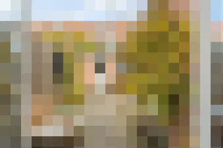 Werner Helmichstraat 105 Utrecht thumbnail 17
