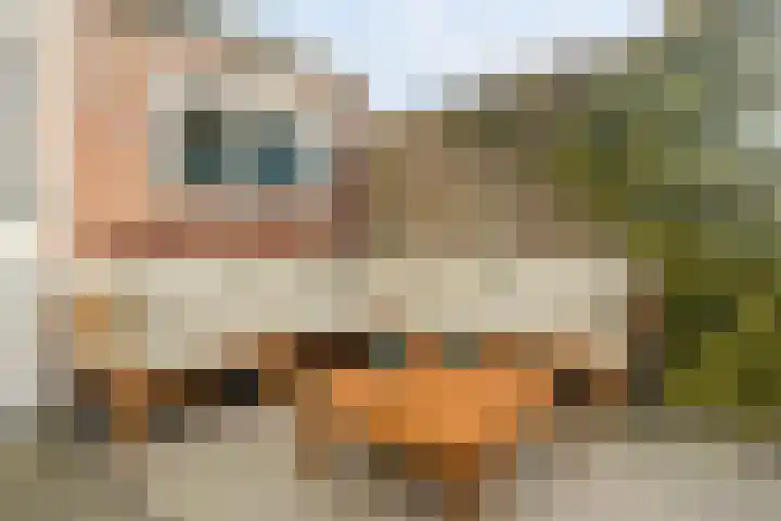 Werner Helmichstraat 105 Utrecht thumbnail 21