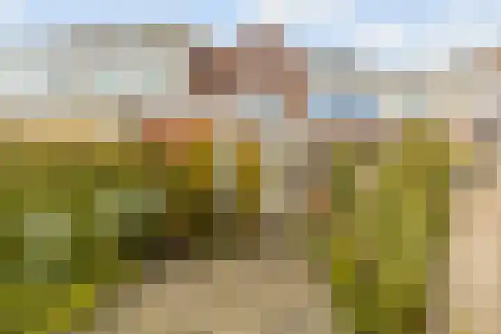 Werner Helmichstraat 105 Utrecht thumbnail 22