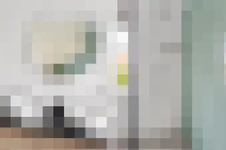 Werner Helmichstraat 105 Utrecht thumbnail 29