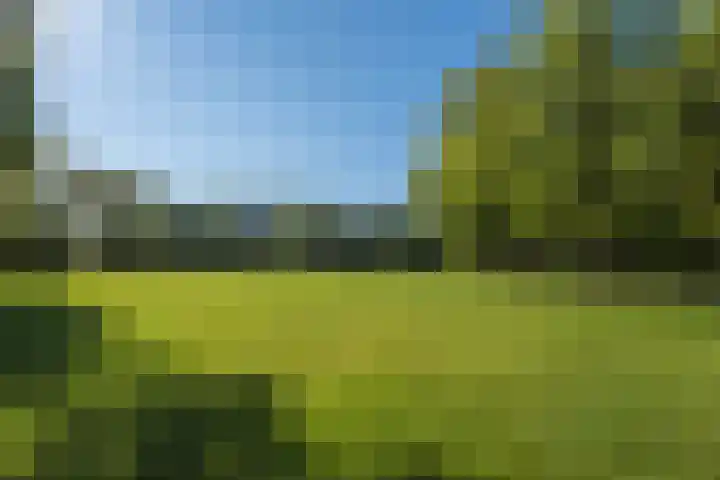 Werner Helmichstraat 105 Utrecht thumbnail 36