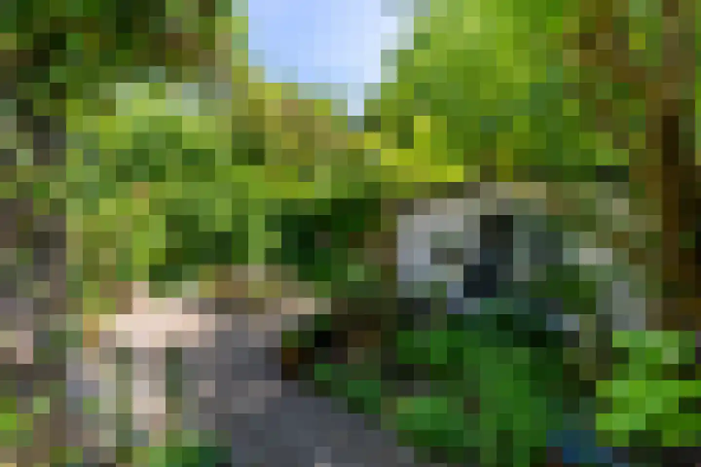 Werner Helmichstraat 15 Utrecht thumbnail 24
