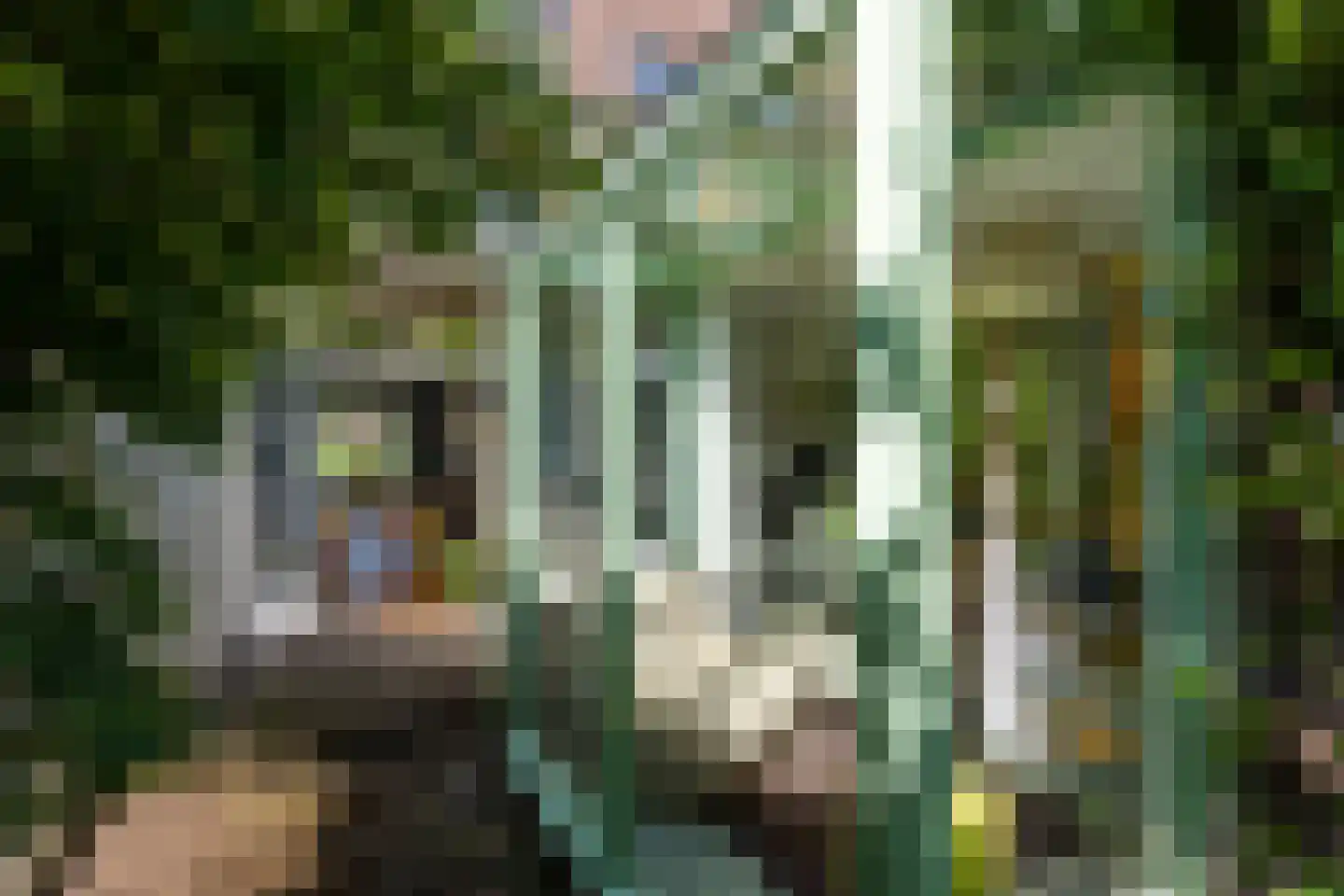 Werner Helmichstraat 15 Utrecht thumbnail 4
