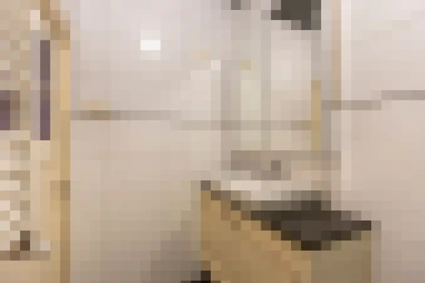 Werner Helmichstraat 15 Utrecht thumbnail 52