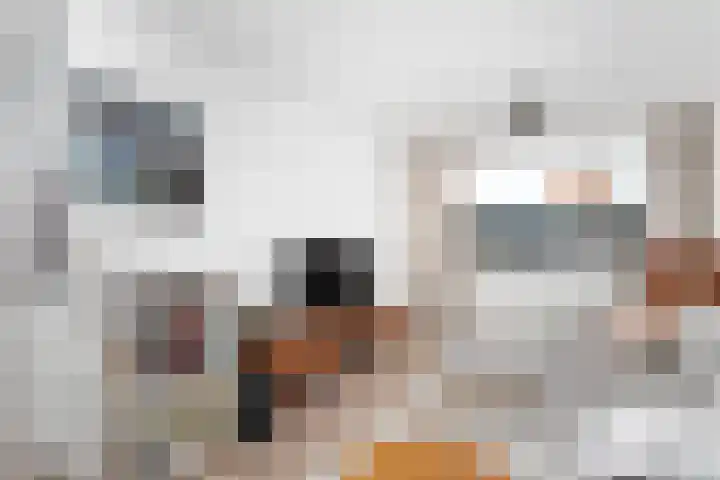 Werner Helmichstraat 19 A Utrecht thumbnail 5