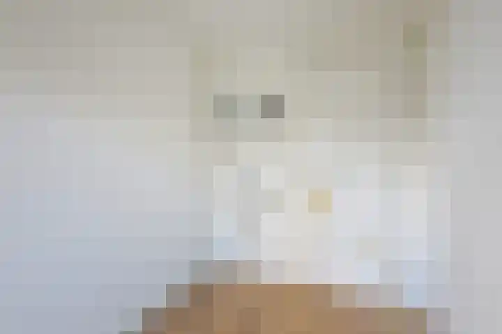 Werner Helmichstraat 20 Utrecht thumbnail 22