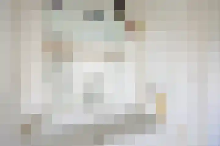 Werner Helmichstraat 20 Utrecht thumbnail 23