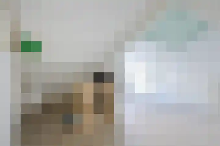 Werner Helmichstraat 20 Utrecht thumbnail 27