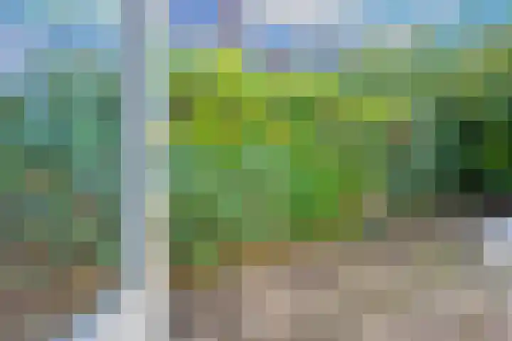 Werner Helmichstraat 20 Utrecht thumbnail 31