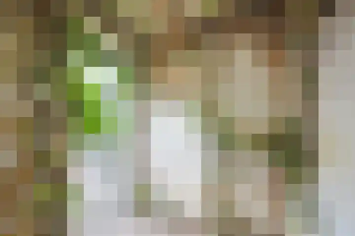 Werner Helmichstraat 20 Utrecht thumbnail 36