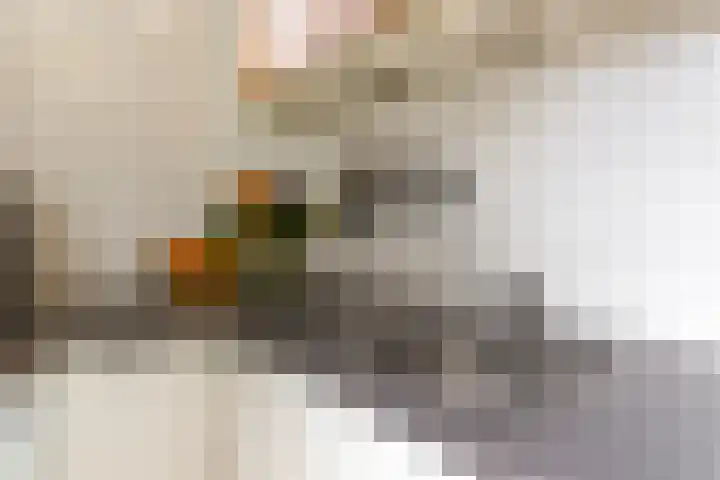 Werner Helmichstraat 26 Utrecht thumbnail 10