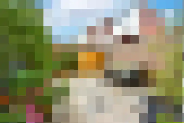 Werner Helmichstraat 26 Utrecht thumbnail 12