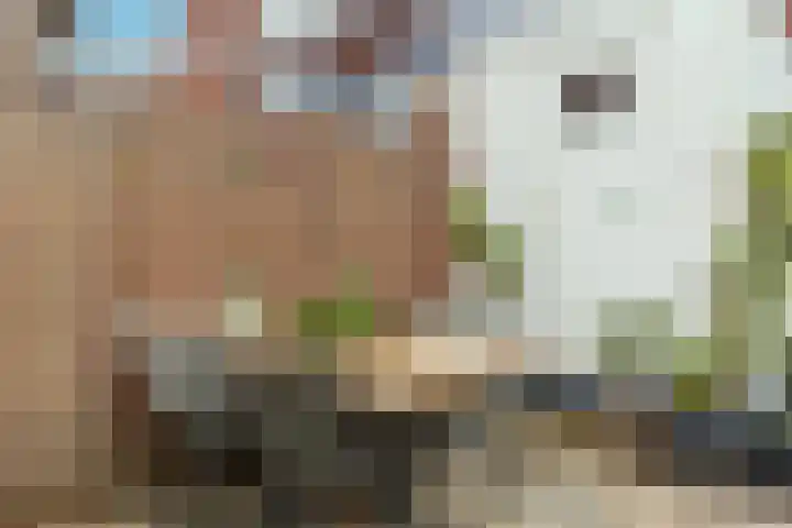 Werner Helmichstraat 26 Utrecht thumbnail 13