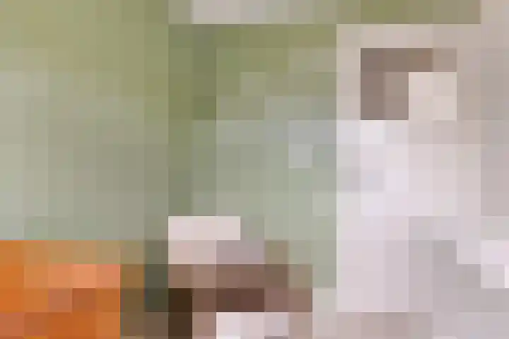 Werner Helmichstraat 26 Utrecht thumbnail 22