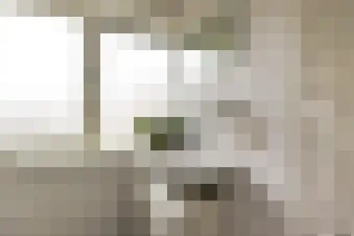 Werner Helmichstraat 26 Utrecht thumbnail 26