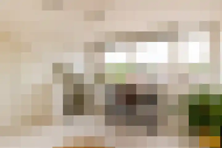 Werner Helmichstraat 26 Utrecht thumbnail 29