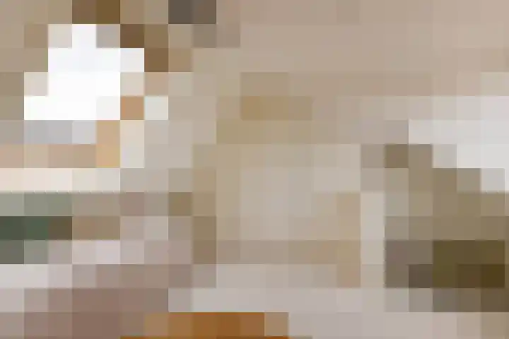 Werner Helmichstraat 26 Utrecht thumbnail 30