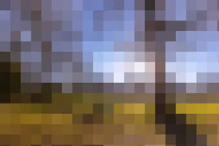 Werner Helmichstraat 26 Utrecht thumbnail 36