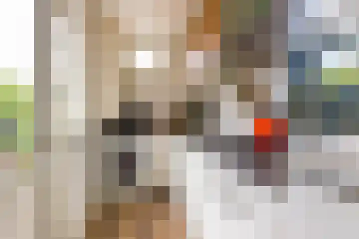 Werner Helmichstraat 26 Utrecht thumbnail 4