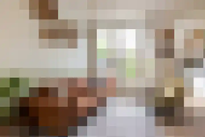 Werner Helmichstraat 26 Utrecht thumbnail 7