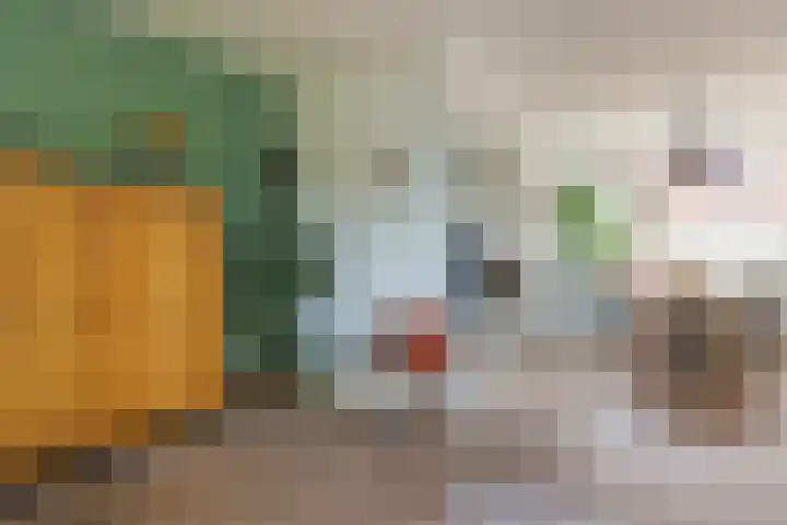 Werner Helmichstraat 26 Utrecht thumbnail 8