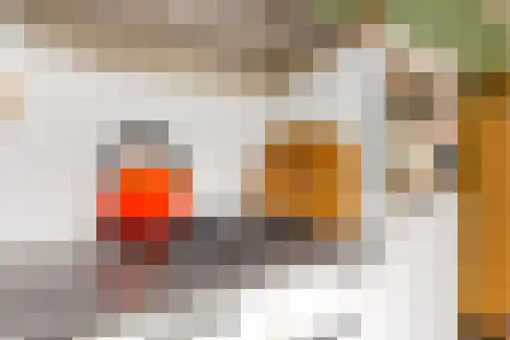 Werner Helmichstraat 26 Utrecht thumbnail 9