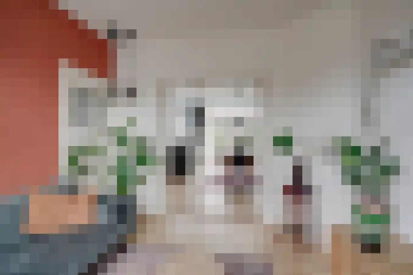 Werner Helmichstraat 29 Utrecht thumbnail 13