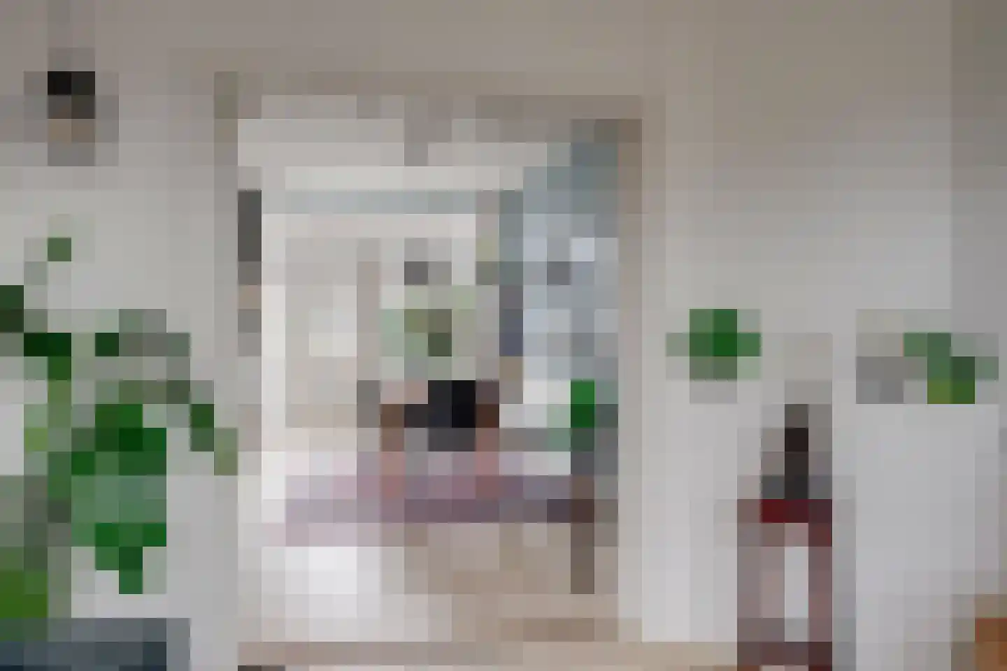 Werner Helmichstraat 29 Utrecht thumbnail 14