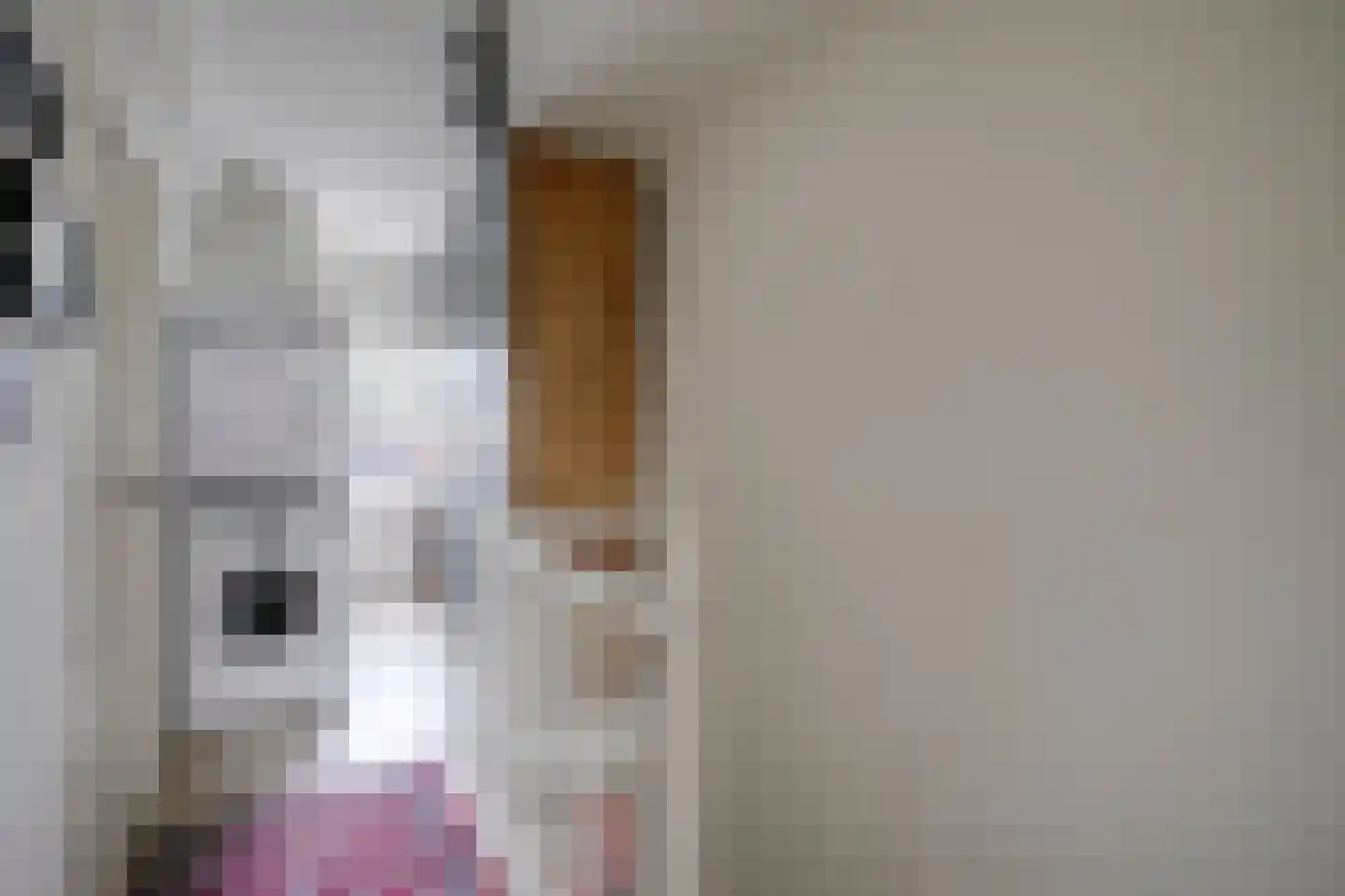 Werner Helmichstraat 29 Utrecht thumbnail 42