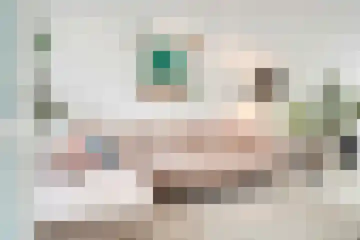 Werner Helmichstraat 4 Utrecht thumbnail 10